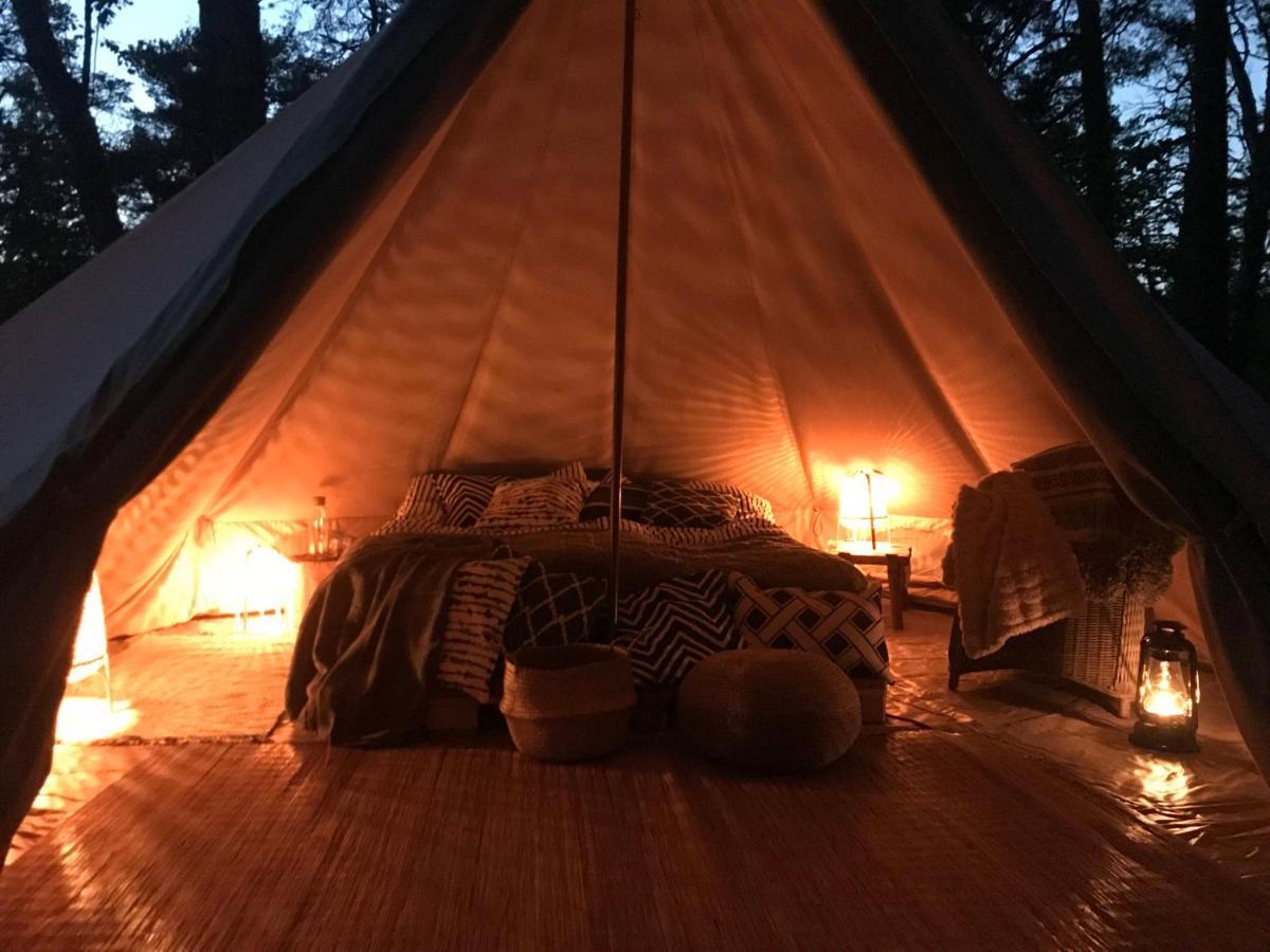 Forest Glamping Värmdö Zewnętrze zdjęcie