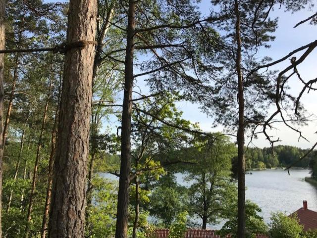 Forest Glamping Värmdö Zewnętrze zdjęcie